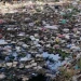 Aroma Bau Busuk Sampah Yang Sengaja di Biarkan UPT Pengairan Membuat Warga Jambu Karya Teriak