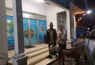 Mantan Walikota dan Mantan Wakil Walikota Tangerang Kirim Kambing Korban Ke Organisasi Wartawan 