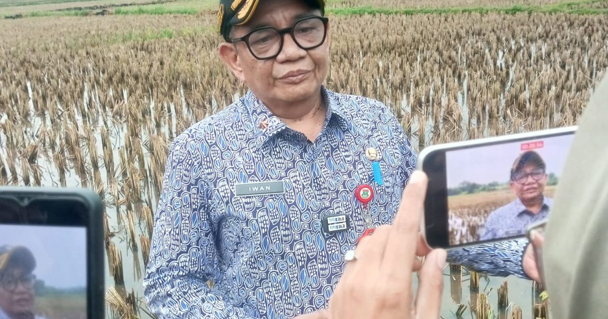 Kepala Dinas Bina Marga dan Sumber Daya Air Kabupaten Tangerang, Iwan Firmansyah Effendi, menjelaskan pembangunan tandon air telah dilakukan secara bertahap di sejumlah kecamatan dan akan terus diperluas.