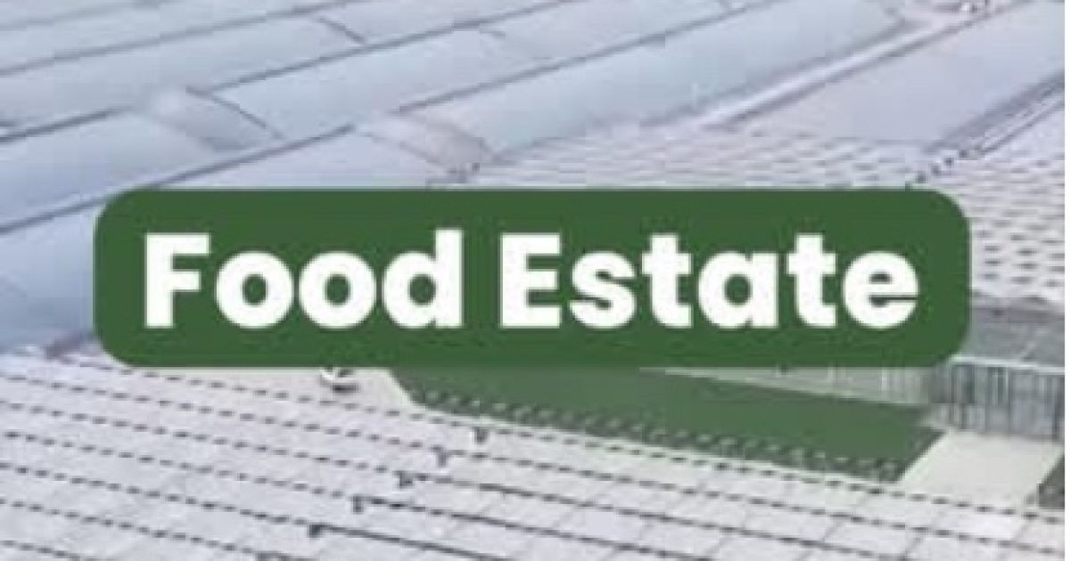 Program Food Estate/Instagram