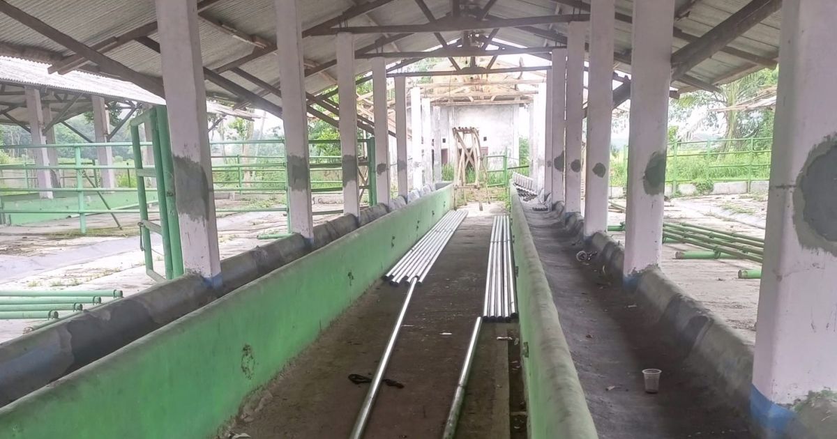 Kandang sapi PT Karyana Gita Utama dan CV Agro Ternak