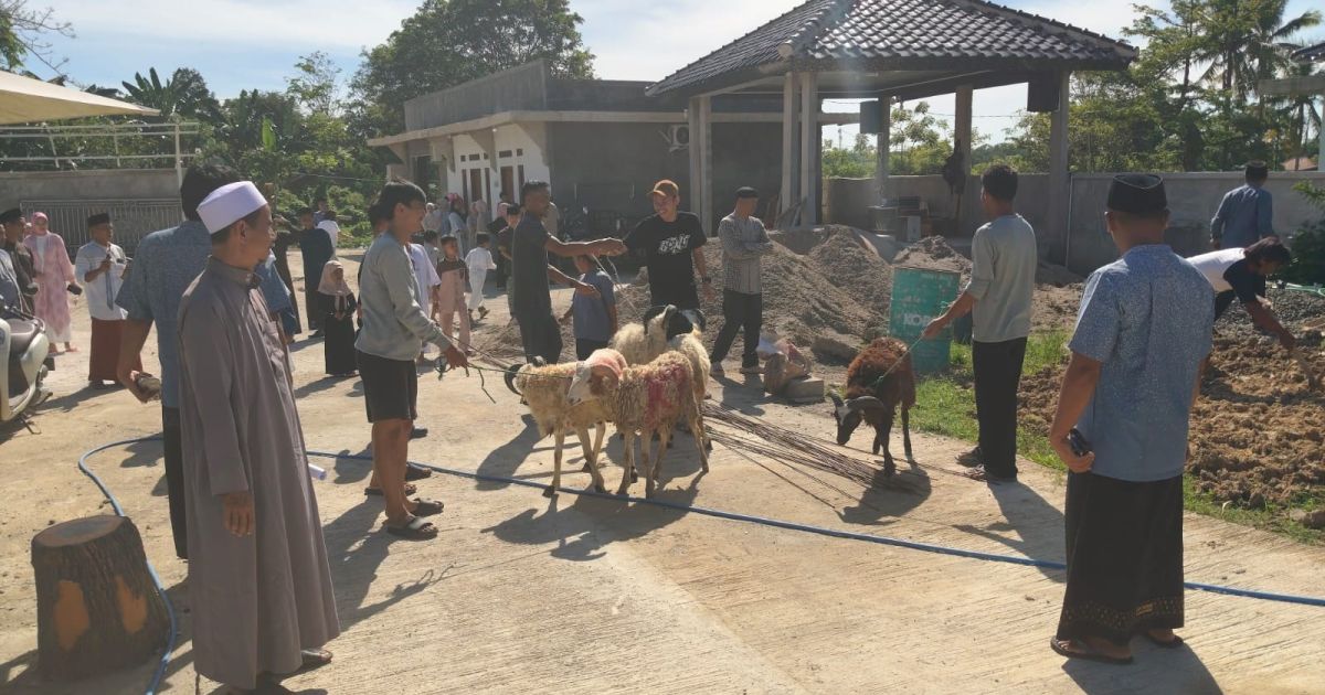 Semangat Berbagi di Idul Adha 1447 H, Owner PT Arka Putra Kurbankan 5 Domba dan Santuni Warga
