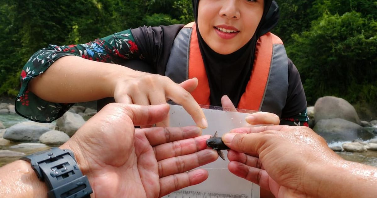 Waspada! Ikan Alien Mulai Kuasai Perairan Bogor dan Jabodetabek, Peneliti UI Ungkap Ancamannya