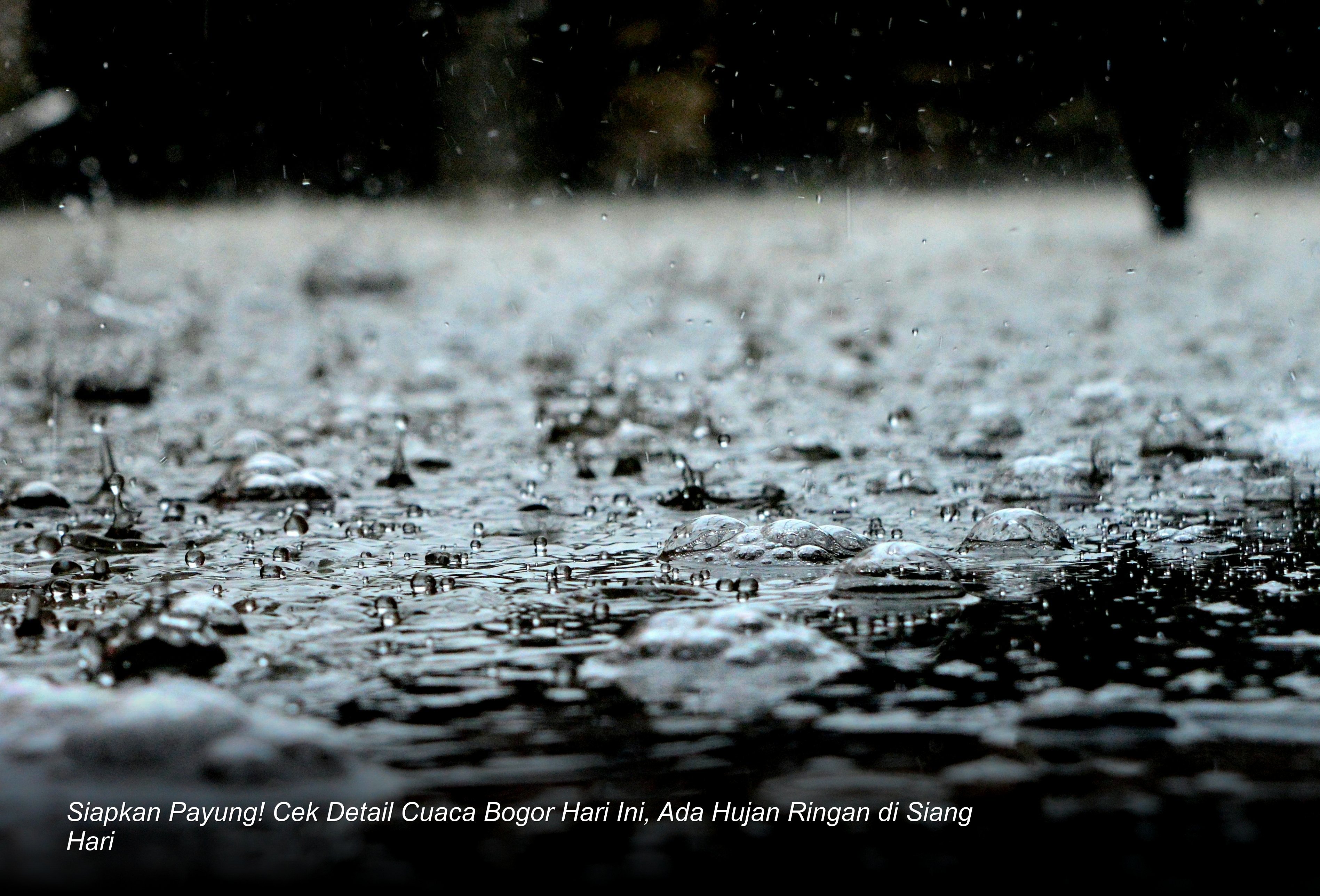 Siapkan Payung! Cek Detail Cuaca Bogor Hari Ini, Ada Hujan Ringan di Siang Hari
