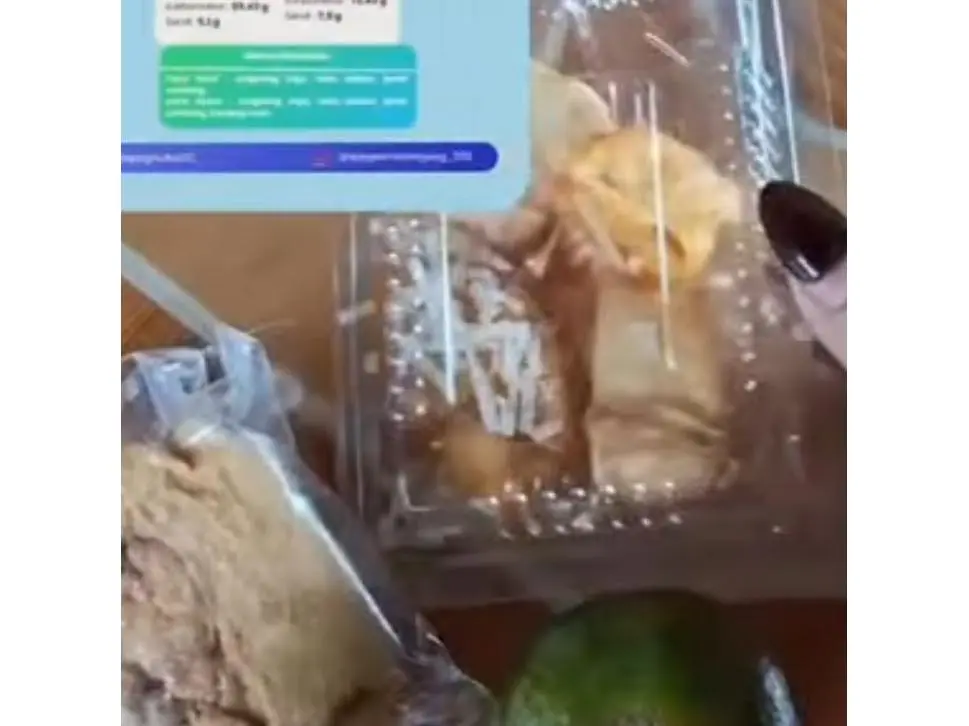 SPPG Aulia 2 Bojonegoro Laporkan Akun TikTok Terkait Konten Menu Makan Bergizi Gratis