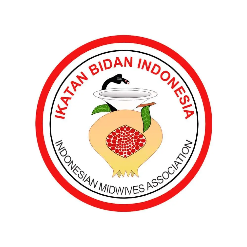 Peran Strategis Organisasi Profesi dalam Meningkatkan Kualitas Bidan Indonesia