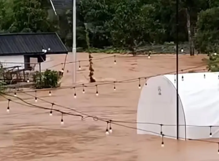 Respons Cepat Pemerintah Redam Dampak Banjir Bandang di Kalimantan Selatan