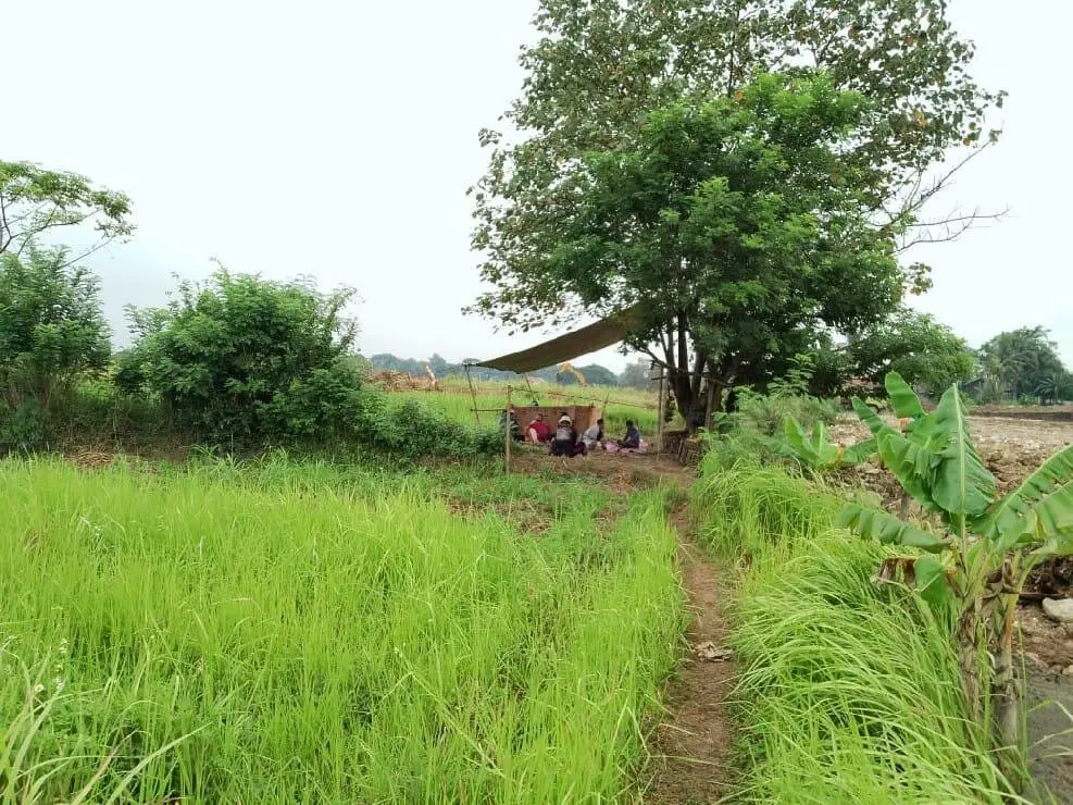 Sengketa Tanah Sawah di Tangerang, Pengembang Diduga Kuasai Lahan Sepihak