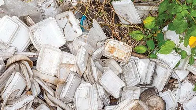 Limbah Styrofoam: Ancaman Lingkungan dan Peluang Ekonomi