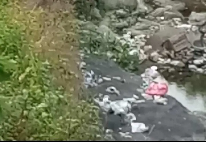 Aktivis: Komitmen Pemerintah untuk Lingkungan Bersih Harus Nyata