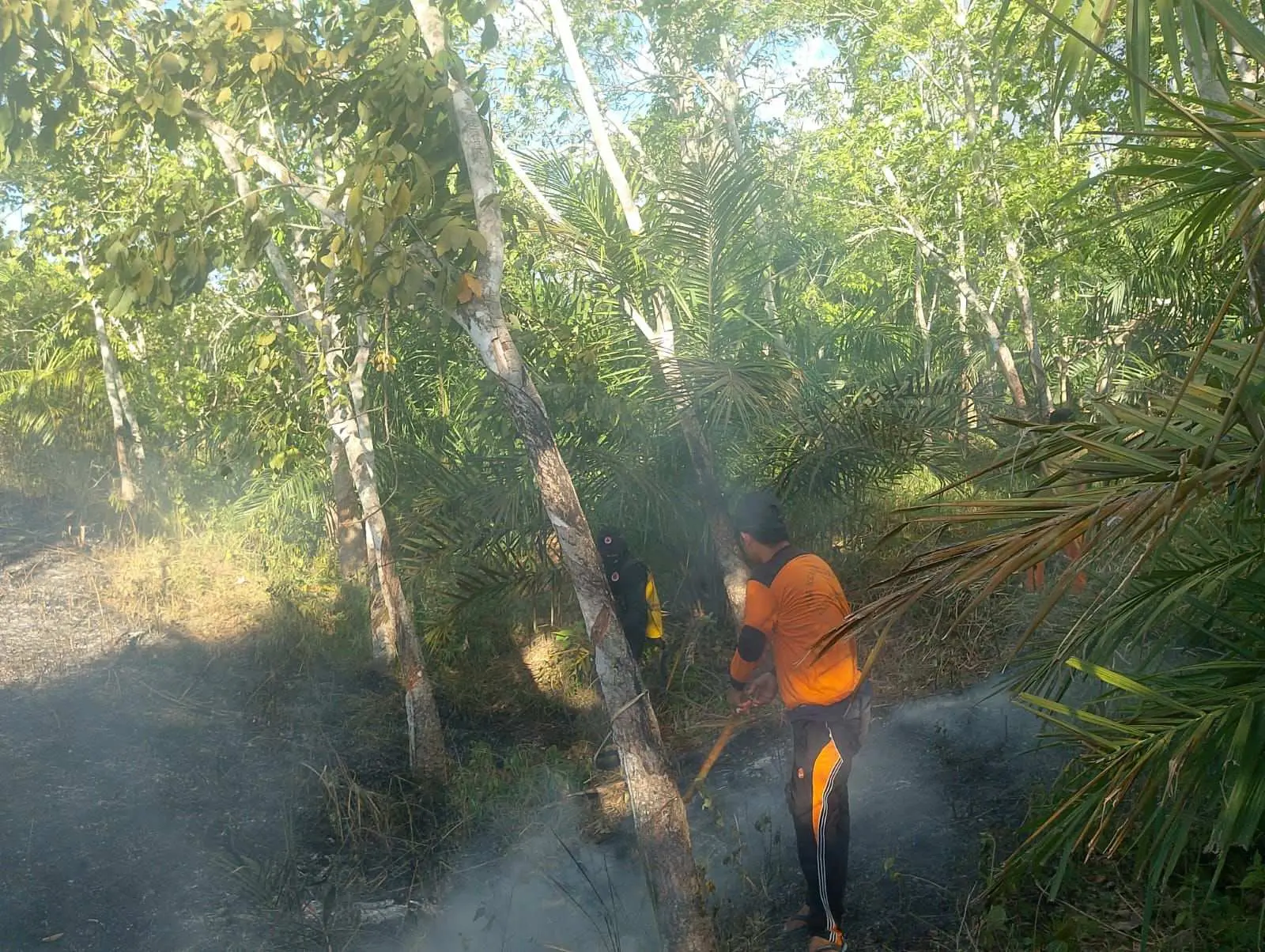 Update Terkini Penanganan Bencana di Indonesia per 12 Juli 2025