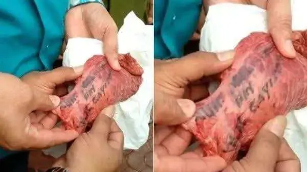 Viral Kurban di Tangsel, Nama Muhammad Musofa Terukir di Paru-paru Sapi Kurban