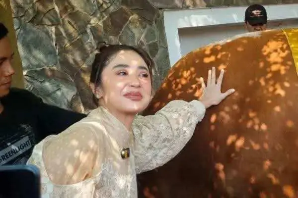 Dewi Perssik Kurban 17 Ekor Sapi di Idul Adha 2025: Berkah dari Viral 'Nona Ambon'
