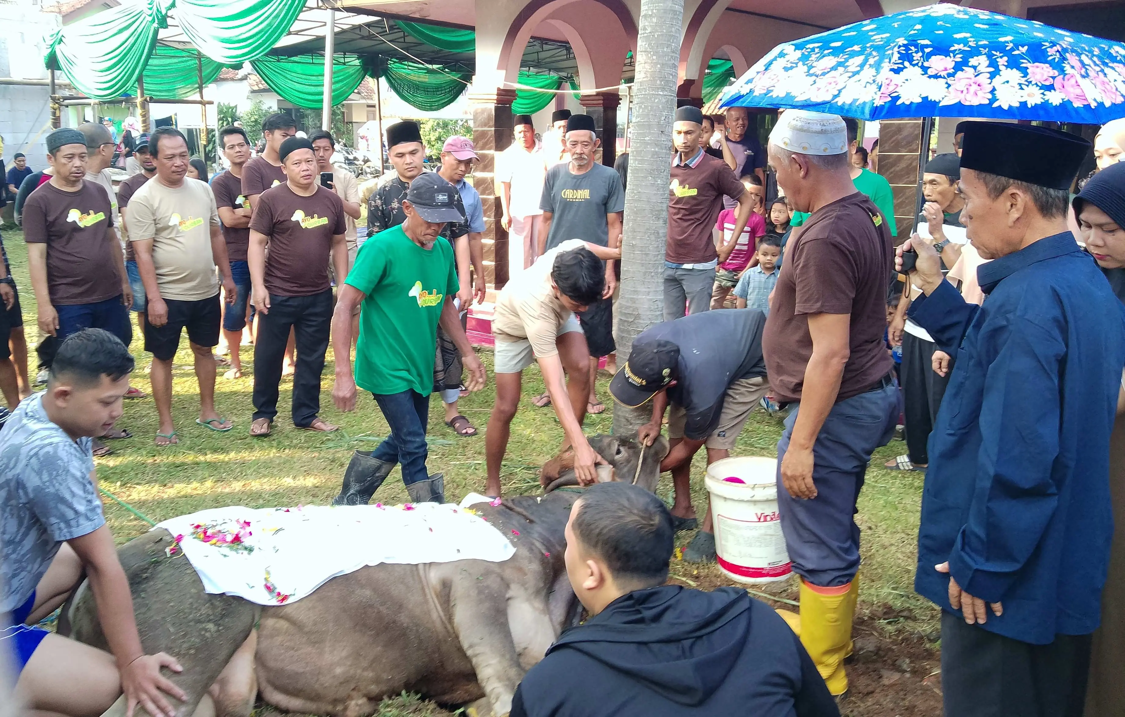 Merajut Kebersamaan Lewat Qurban: DKM Masjid Jami Al Mubarok Bagikan 500 Paket Daging Idul Adha