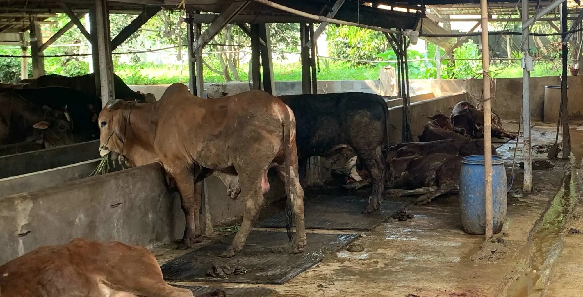 Makna Idul Adha 2025, Pengamat Ari Sumarto Taslim: Momentum Merawat Nurani Sosial