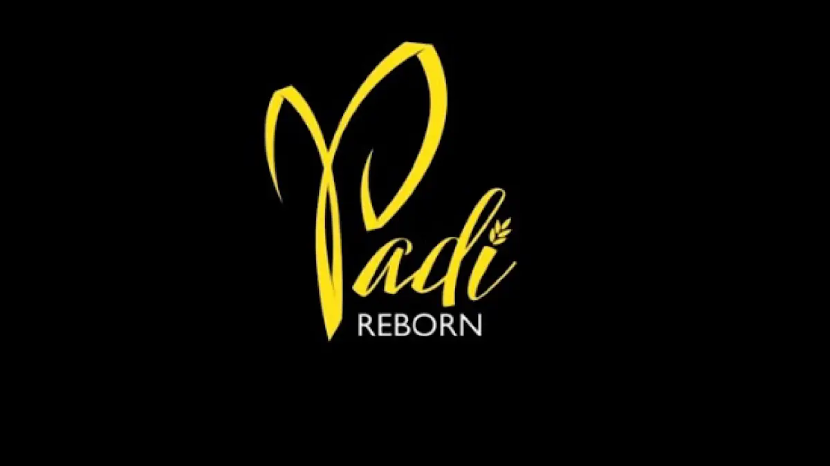 Padi Reborn Vakum Lama Gimana Kabarnya Kini