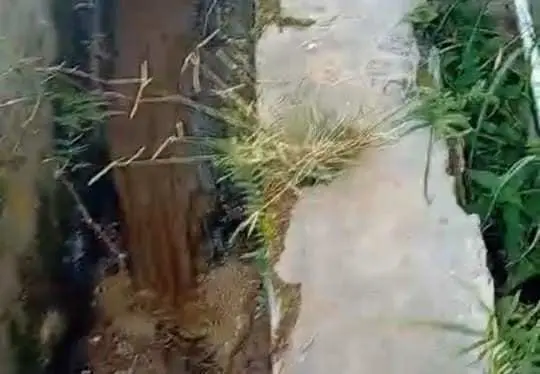 Warga Geruduk DLH Bogor, Protes Limbah Peternakan Sapi Cemari Kampung Babakan