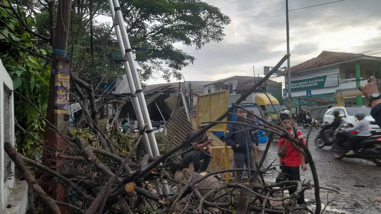 Pohon Tumbang Timpa Angkot dan Pangkalan Ojek di Jembatan Hitam Cijujung Sukaraja