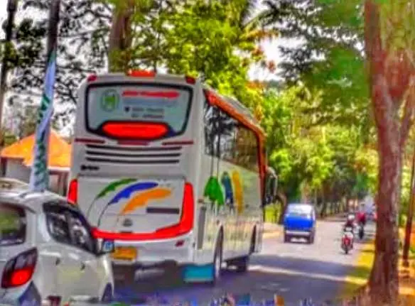 Polemik Study Tour TK di Bekasi Jutaan Rupiah: Wali Kota Bekasi dan Gubernur Jabar Tegas Larang