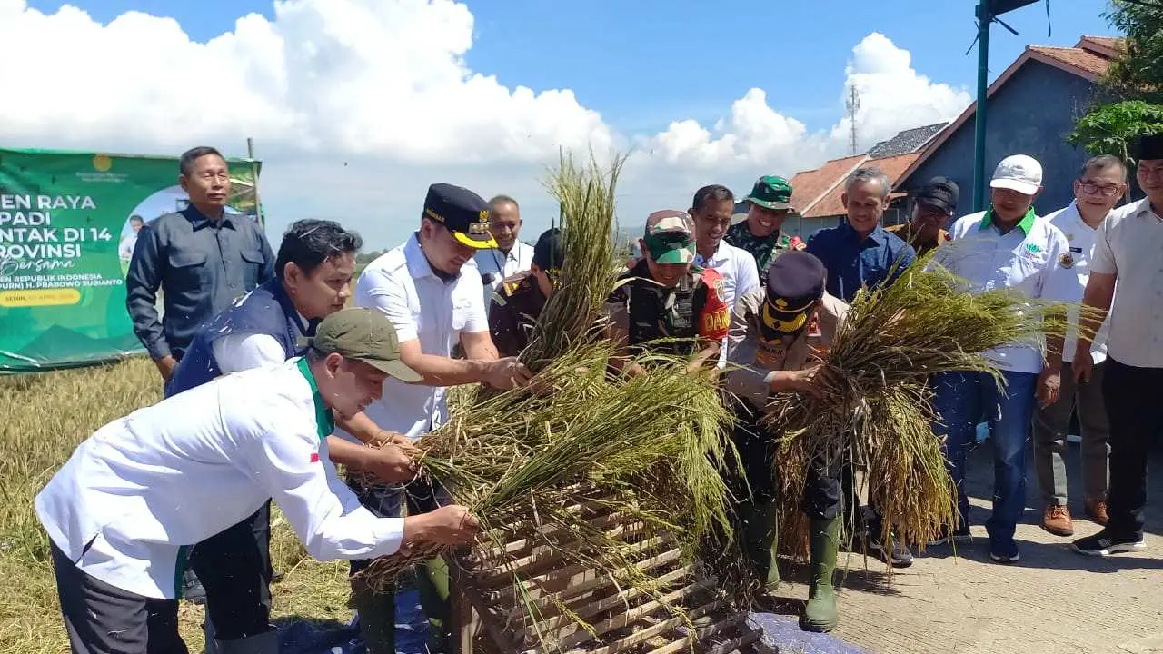 Dandim 0623 Cilegon Menghadiri Panen Padi Serentak Di 14 Provinsi Secara Virtual Bersama Presiden RI