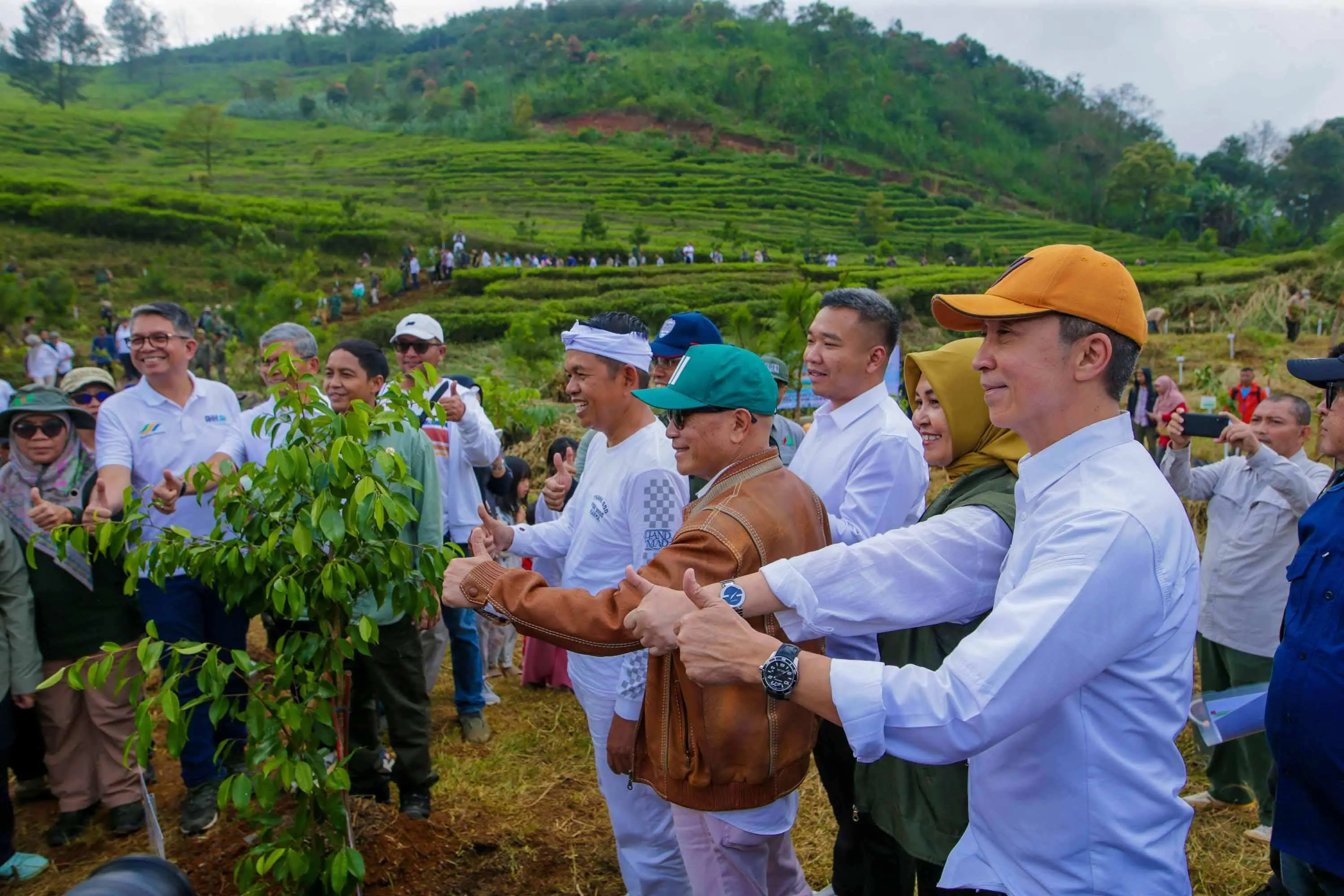 Bogor Hijau Kembali: Sinergi Pemerintah Pusat dan Daerah Pulihkan Ekosistem Puncak