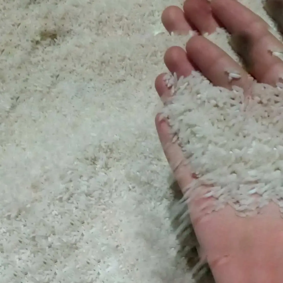 Niat Zakat Fitrah dan Doa Lengkap dengan Arab dan Latin